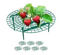 Relaxdays Support pour Fraises, 8 pièces, Protection Contre Les limaces, Plastique, Vert