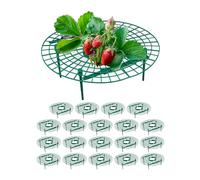 Relaxdays Support pour Fraises, Lot de 20, Protection Contre pourriture, limaces, Grille pour fraisier, Plastique, Vert
