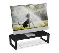 Relaxdays Support pour moniteur moderne