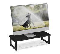 Relaxdays Support pour Moniteur, rehausseur pour Ordinateur sur Le Bureau, Design Moderne, 15 x 55 x 23 cm, Noir