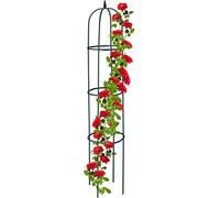 relaxdays Support pour plantes grimpantes 188 cm vert foncé
