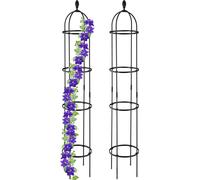 relaxdays Support pour plantes grimpantes 190 cm Set de 2 pièces