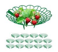 Relaxdays Supports pour fraises Set