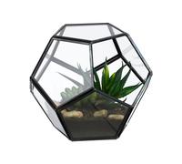 Relaxdays Terrarium pour Plantes, Verre et étain, décoration en Verre pour Cactus et Mousse, jardinière Ouverte en Verre pour Rebord de fenêtre, Noire