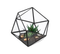 Relaxdays Terrarium de forme originale