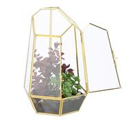 Relaxdays Terrarium pour Vos Plantes, décoratif et Pratique, pour Le Rebord de la fenêtre, 26 x 18 x 15 cm, doré