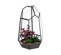 Relaxdays Terrarium de forme originale