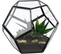 relaxdays Terrarium géométrique pour plantes en verre