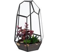 relaxdays Terrarium géométrique pour plantes en verre