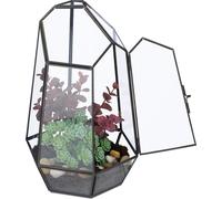 relaxdays Terrarium géométrique pour plantes en verre