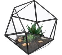 relaxdays Terrarium géométrique pour plantes en verre