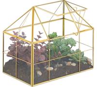 relaxdays Terrarium pour plantes en verre forme maison