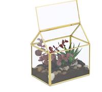 relaxdays Terrarium pour plantes en verre forme maison