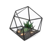 Relaxdays Terrarium pour Plantes, Verre et étain, décoration en Verre pour Cactus et Mousse, jardinière Ouverte en Verre pour Rebord de fenêtre, Noire