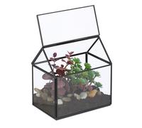 Relaxdays Terrarium pour Vos Plantes, décoratif et Pratique, pour Le Rebord de la fenêtre, 15 x 15 x 10 cm, Noir