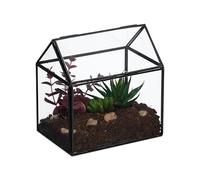 Relaxdays Terrarium pour Vos Plantes, décoratif et Pratique, pour Le Rebord de la fenêtre, 16 x 16 x 11,5 cm, Noir