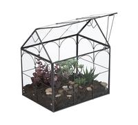 Relaxdays Terrarium pour Vos Plantes, décoratif et Pratique, pour Le Rebord de la fenêtre, 20 x 24,5 x 13,5 cm, Noir