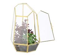 Relaxdays Terrarium pour Vos Plantes, décoratif et Pratique, pour Le Rebord de la fenêtre, 26 x 18 x 15 cm, doré