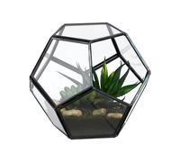 Relaxdays Terrarium pour Plantes, Verre et étain, décoration en Verre pour Cactus et Mousse, jardinière Ouverte en Verre pour Rebord de fenêtre, Noire