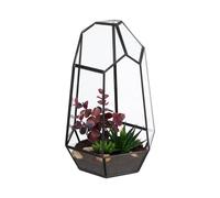 Relaxdays Terrarium pour Vos succulentes ou Vos Cactus, Verre et étain, pour Le Rebord de fenêtre, Noir