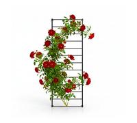 Relaxdays Treillis, 1 pièce, Grille Murale (H x l) : 210 x 76 cm, tuteur pour Plantes grimpantes, Fixation Murale, Acier, Noir