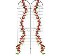 Relaxdays Tuteur à Plantes, à Poser, Lot de 2, pour Plantes grimpantes, utiles, ornementales, HxL : 220 x 50 cm, Vert