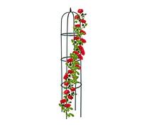 Relaxdays Trellis obélisque, 188 m de Hauteur, pour Plantes grimpantes, en métal, Stable, Tour pour Rosier, Vert foncé