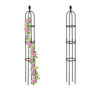 Relaxdays Lot de 2 Trellis 160 cm