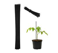 Relaxdays Tuteur à tomates avec Fil de Fer, en Lot de 50, pour Jeunes Plantes, en Bambou, H x D : env. 30 x 0,5 cm, Noir