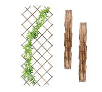 Relaxdays Tuteur à tomates en Lot de 3, Extensible, pour Plantes grimpantes, 180 x 90 cm, pour Jardin, Balcon, Nature