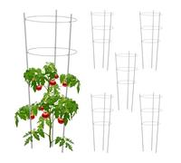 Tuteur tomate support de jardin piquet pour tomates treillis ajustable 6 pièces
