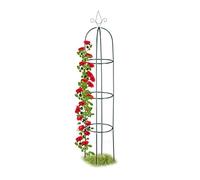 relaxdays Support pour plantes grimpantes Obélisque haut