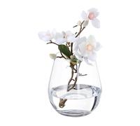 Relaxdays Vase décoratif en Verre Clair, pour Vos Fleurs, à Poser sur la Table, Dimensions HxD : 16 x 14 cm, Transparent