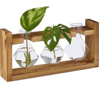 relaxdays Vase pour éprouvette avec support