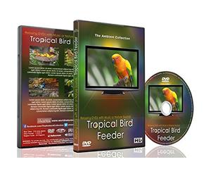 Relaxing Birds DVD - Tropical Bird Feeder - Cute and Colourful Birds with Natural Bird Sounds Videos for Your Pets and Kids
