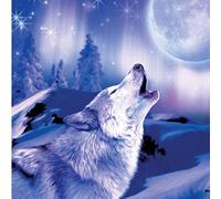 Relaxing Inspirational Music - Wolf Card 1 [Import]
