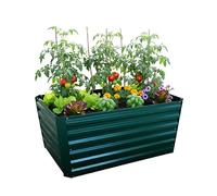RelaxRelaxdays Jardinière surélevée, métal galvanisé, Fleurs, Plantes & légumes, 60×120×60 cm, bac rectangulaire Vert