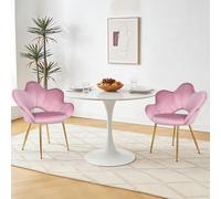 Relbiety Lot de 2 Chaises de Salle à Manger avec Dossier Fauteuil Salon en Velours,Chaise Coquillage Chaise de Coiffeuse avec Pieds en Métal pour Séjour,Coin Maquillage,Chambre,Rose foncé
