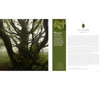 Remarquables: Des arbres, des femmes et des hommes en Ardèche