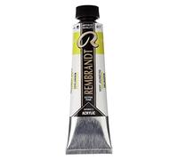 Rembrandt Acrylic Colour - Heavy Body Acrylic Paint Tube 40 ml Yellowish Vert 617 - Professional Artists' Quality - Highest Lightfastness - Durable & Flexible Film - Made in Netherlands