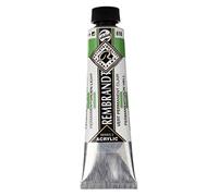 Rembrandt Couleurs Acrylique Tube 40 ML Vert Permanent Clair 618 (18056182)