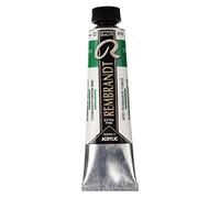 Rembrandt Acrylic Colour - Vert permanent foncé 619 - Peinture pour corps lourds de haute qualité 40 ml - Solidité à la lumière supérieure - Qualité artistique - Fabriqué aux Pays-Bas