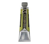 Rembrandt Couleurs à l'huile 40ml tube CINNABAR Vert Clair