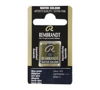 Rembrandt Godets d'aquarelle Vert olive 620 - Qualité professionnelle - Grande résistance à la lumière - Pigments purs - Fabriqués aux Pays-Bas