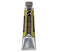 Rembrandt Oil Colour - 40 ml Cinabre Vert clair 626 - Peinture à l'huile d'artiste de première qualité, résistante à la lumière - consistance de pâte à tartiner