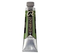 Rembrandt Oil Colour - Extra Fine Artist Oil Paint 40 ml - Vert de vessie 623 - Haute résistance à la lumière des pigments - Consistance de beurre - Fabriqué aux Pays-Bas