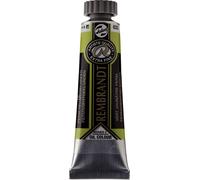 Rembrandt Professional Oil 15ML PERM.YELLOWISH GRN