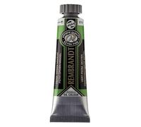 Rembrandt Professional Oil 15ML PERM.GREEN MED