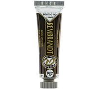 Rembrandt Professional Oil 15ML VANDYKE BROWN