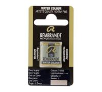 Rembrandt Professional Watercolour - HALF PAN DAVY'S GREY